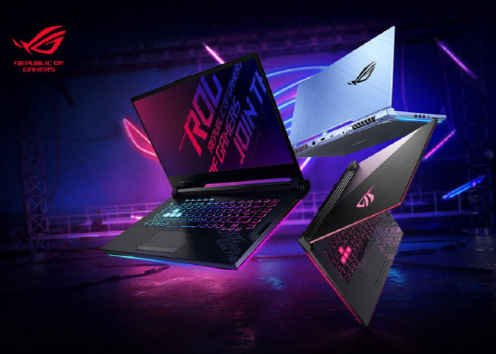 https://www.kkal.net/